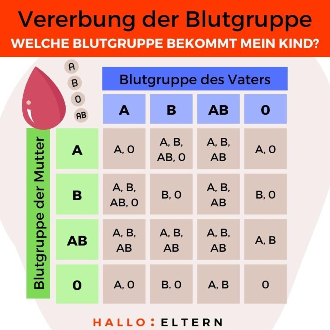 Blutgruppen Vererbung