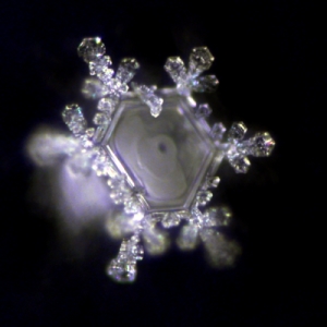Wasserkristallbild aus ZARO-Vitalwasserproben nach dem bekannten Verfahren von Masaru Emoto, Foto: ZARO Biotec