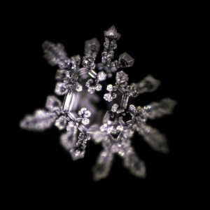 Wasserkristallbild aus ZARO-Vitalwasserproben nach dem bekannten Verfahren von Masaru Emoto, Foto: ZARO Biotec