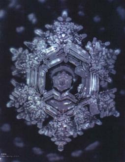 informiertes Wasserkristall von Emoto
