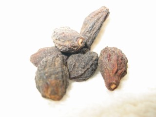 Terminalia chebula, getrocknete Frucht